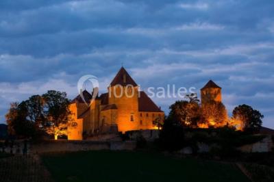Location salle Pierreclos (Saône-et-Loire) - Château De Pierreclos #24
