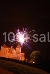 Location salle Pierreclos (Saône-et-Loire) - Château De Pierreclos #21