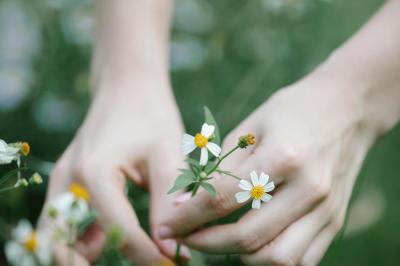 Intérieur d'un bar cosy avec un comptoir en bois, des tabourets hauts et des tables alignées dans un espace chaleureux.