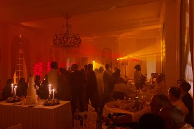 Table garnie de bouteilles de vin, verres, raisins noirs et noix, décorée avec des éléments naturels et boisés.