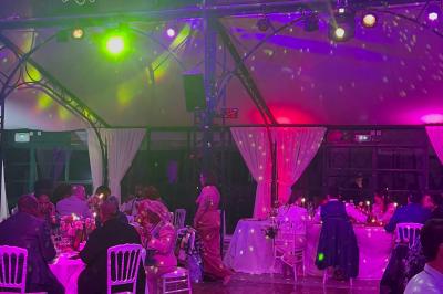 Table garnie de bouteilles de vin, verres, raisins noirs et noix, décorée avec des éléments naturels et boisés.