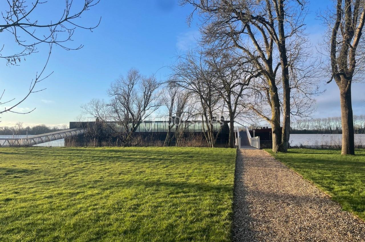Chemin en gravier menant à une passerelle entourée d'arbres dénudés, avec un bâtiment vitré en arrière-plan.