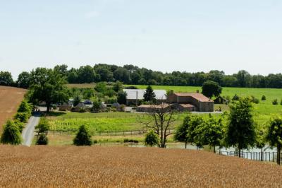 Salle décorée avec des fûts recyclés en tables, éclairage chaleureux et éléments rustiques en bois.