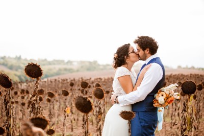 Deux mains tendues l'une vers l'autre au-dessus d'un champ de tournesols fanés.