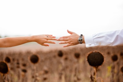 Deux mains tendues l'une vers l'autre au-dessus d'un champ de tournesols fanés.
