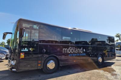 Miniature Mooland #2 Deux bus noirs Mercedes stationnés côte à côte sur un parking, avec un paysage montagneux en arrière-plan.