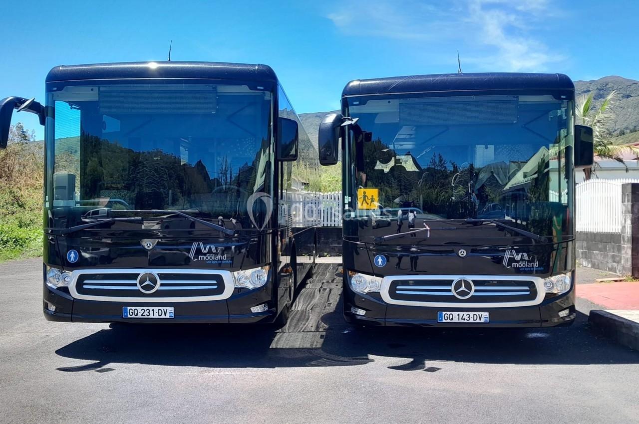 Deux bus noirs Mercedes stationnés côte à côte sur un parking, avec un paysage montagneux en arrière-plan.