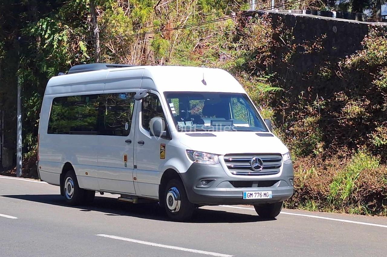 Minibus blanc circulant sur une route bordée de végétation et d'un mur en pierre.