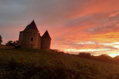 Château de Brie - photo 2