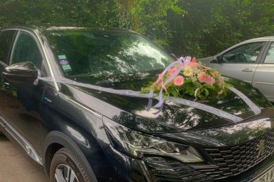 Miniature Glow Prestige  #2 Photo Glow Prestige  #9