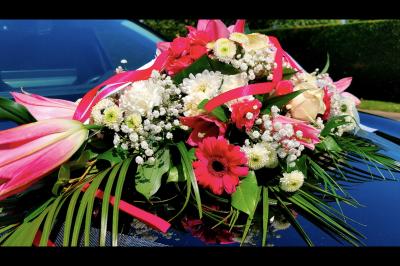 Miniature Glow Prestige  #7 Photo Glow Prestige  #9