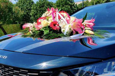 Miniature Glow Prestige  #8 Photo Glow Prestige  #9