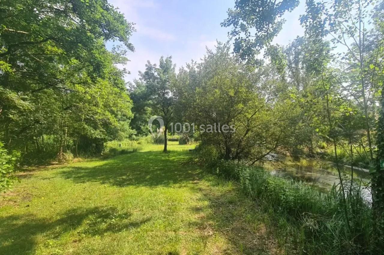 Un sentier herbeux bordé d'arbres mène à une clairière ensoleillée près d'un petit cours d'eau.