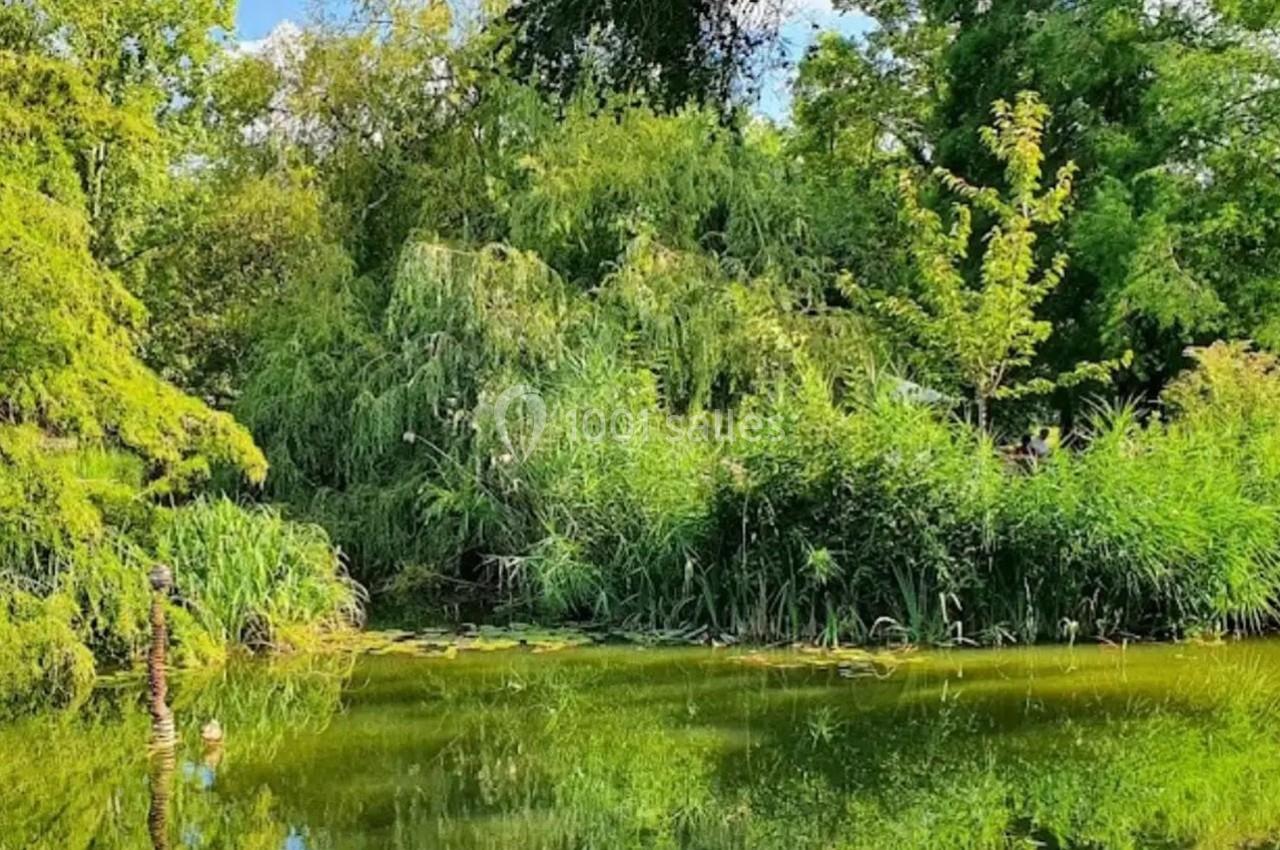Étang entouré de végétation luxuriante avec des arbres et des roseaux se reflétant dans l'eau calme.