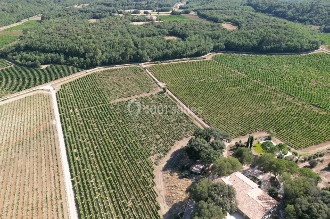 Vue aérienne de vignobles entourés de forêts avec une maison en pierre au premier plan.