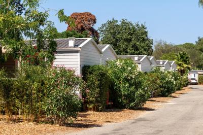 Un enfant avec des brassards orange glisse sur un toboggan rouge dans une piscine extérieure ensoleillée.