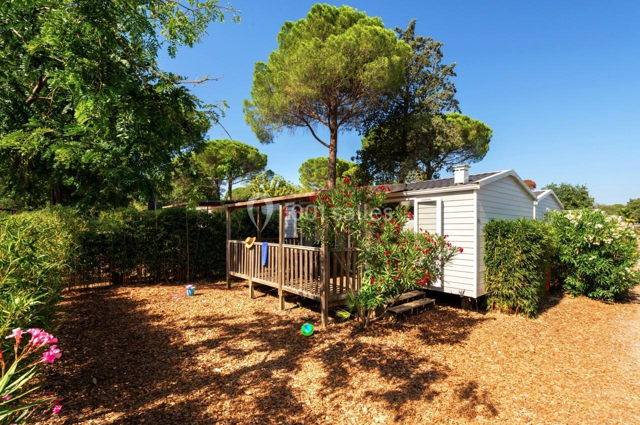 Bungalow en bois avec terrasse entouré de végétation et d'arbres sous un ciel bleu.
