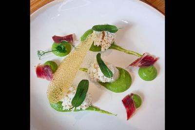 Assiette gastronomique avec saumon, mousse blanche, herbes fraîches et sauce jaune décorée de points verts.