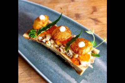 Assiette gastronomique avec saumon, mousse blanche, herbes fraîches et sauce jaune décorée de points verts.