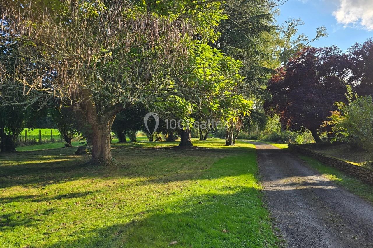 Allée bordée d'arbres et d'herbe, éclairée par le soleil, avec un chemin en gravier à droite.