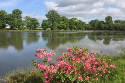 Miniature Location salle Le Teilleul (Manche) - Le Grand Gîte du Lac #12 Baby-foot en bois clair avec pieds noirs, situé dans une pièce au sol sombre et murs clairs avec une porte grise.