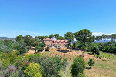 Château de la Pascalette Château de la Pascalette