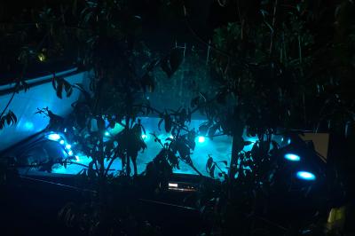 Salle de bain avec un grand miroir doré, deux vasques noires, robinetterie dorée et décoration moderne.