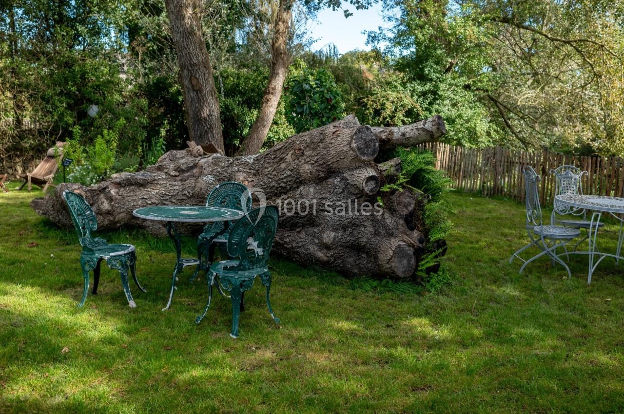 Table et chaises en métal vert sur une pelouse près d'un tronc d'arbre couché, entourés de végétation et d'une clôture en…