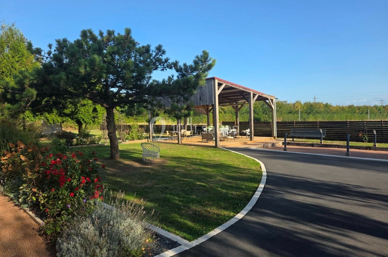 Espace extérieur avec pelouse, banc, fleurs, arbre et abri en bois près d'une route asphaltée sous un ciel dégagé.