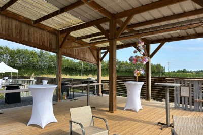 Domaine de L'Andrèse - photo 4