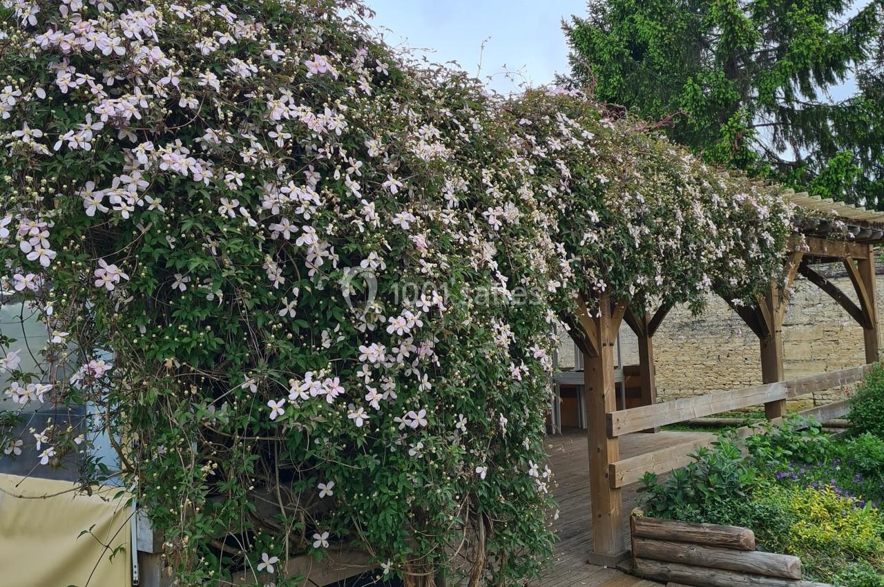 Pergola en bois recouverte de fleurs grimpantes roses, entourée de verdure et d'un chemin en bois.