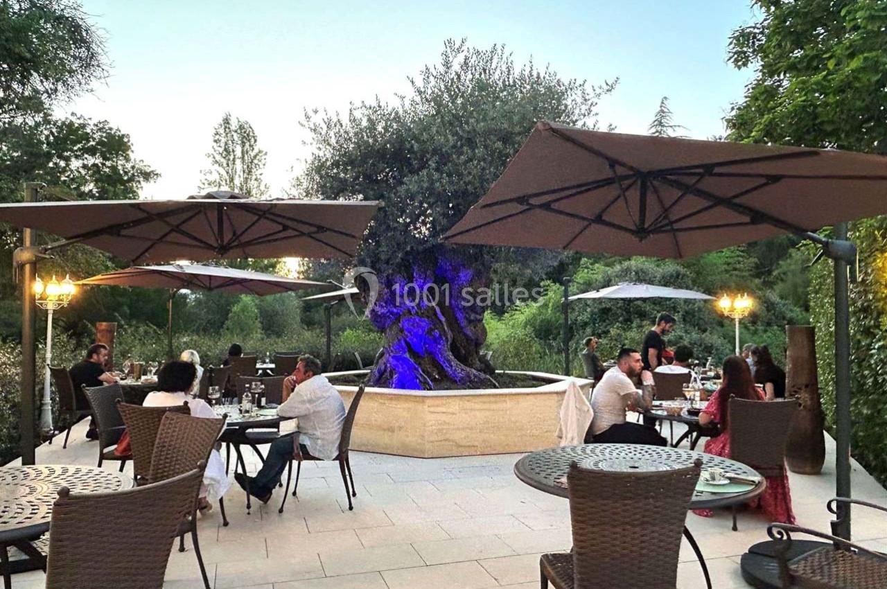 Terrasse d'un restaurant avec des tables occupées, un grand olivier central éclairé et des parasols ouverts.