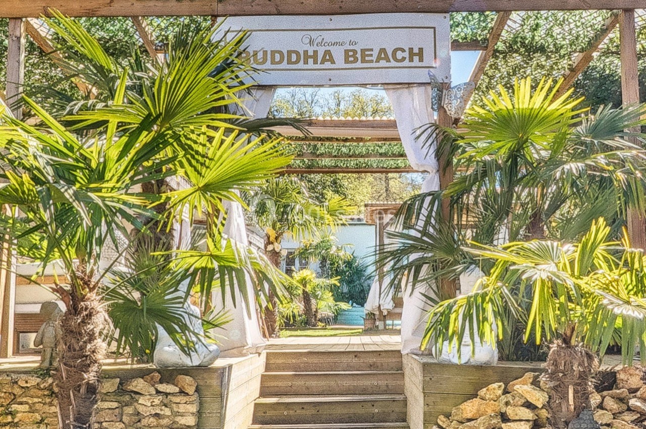 Entrée d'un lieu nommé ’Buddha Beach’ avec des palmiers et une structure en bois sous un ciel ensoleillé.