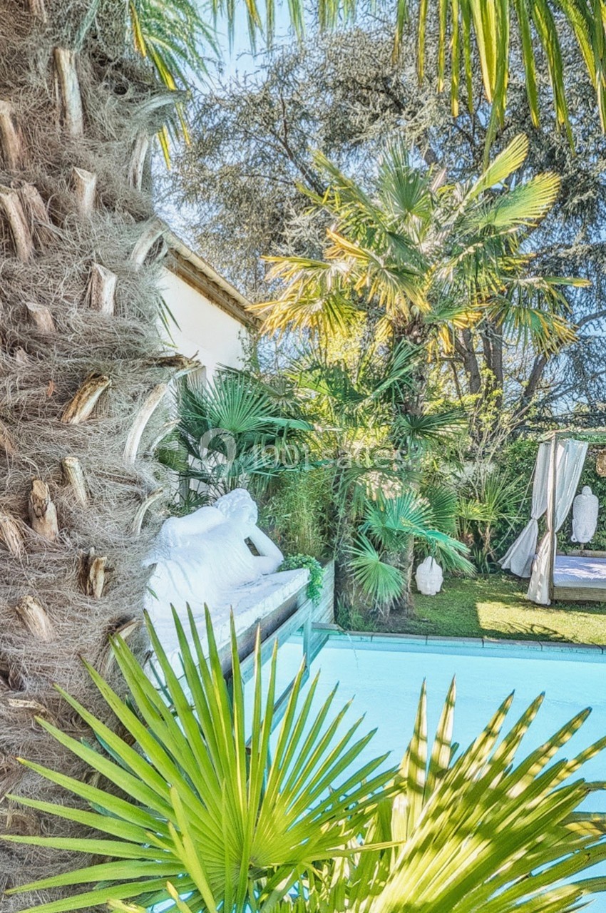 Vue d'un jardin avec piscine, palmiers et statue blanche entourée de végétation luxuriante.