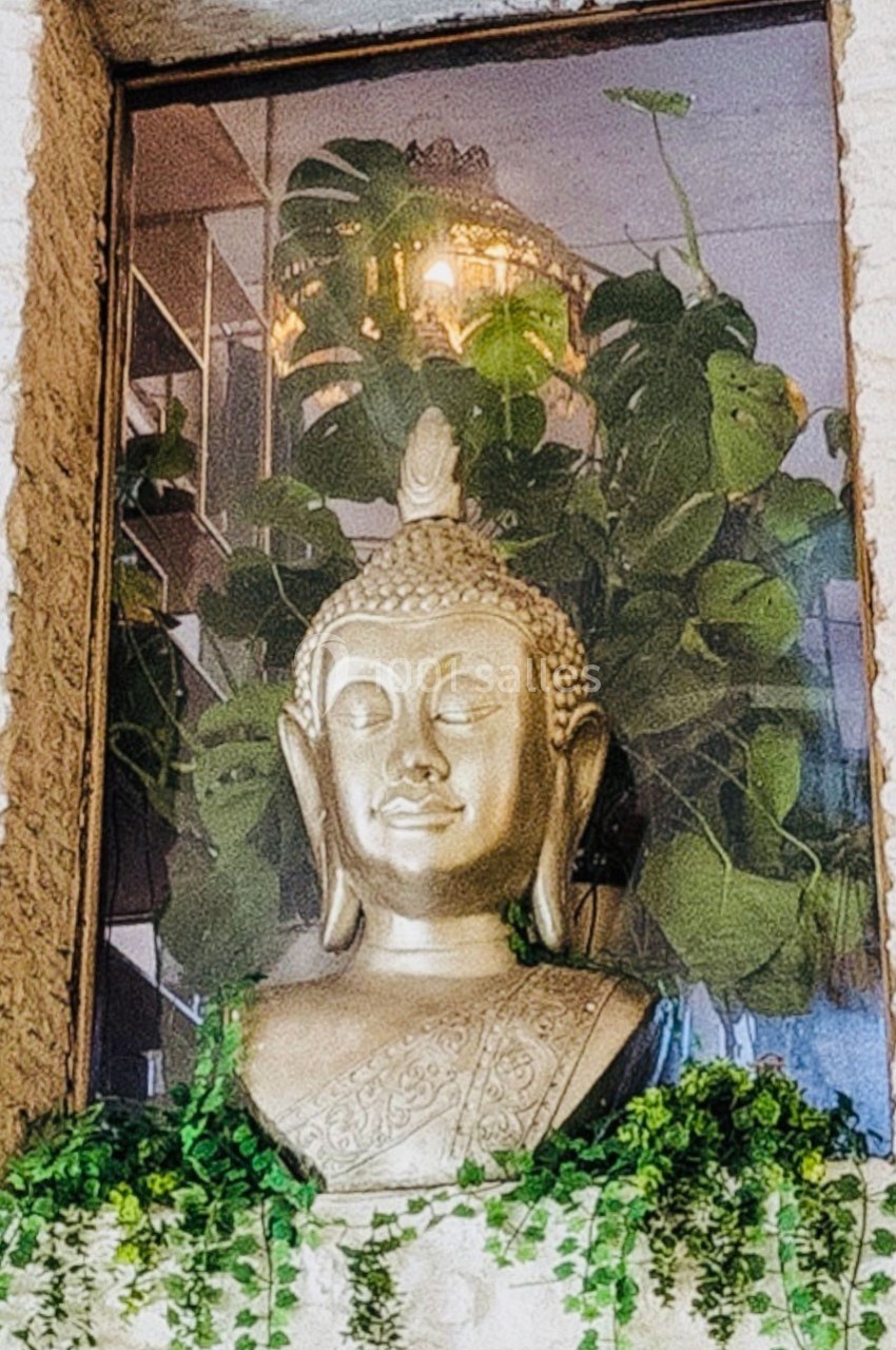 Statue dorée de Bouddha devant une fenêtre, entourée de plantes vertes et éclairée par une lampe suspendue.