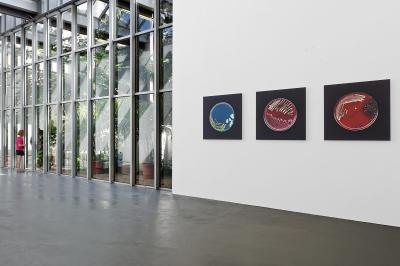 Miniature Location salle Villeurbanne (Rhône) - L'institut d'Art Contemporain IAC #3 Location salle Villeurbanne (Rhône) - L'institut d'Art Contemporain IAC #5