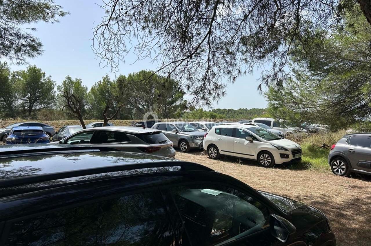 Voitures garées sur un terrain en plein air entouré d'arbres et de végétation sous un ciel dégagé.