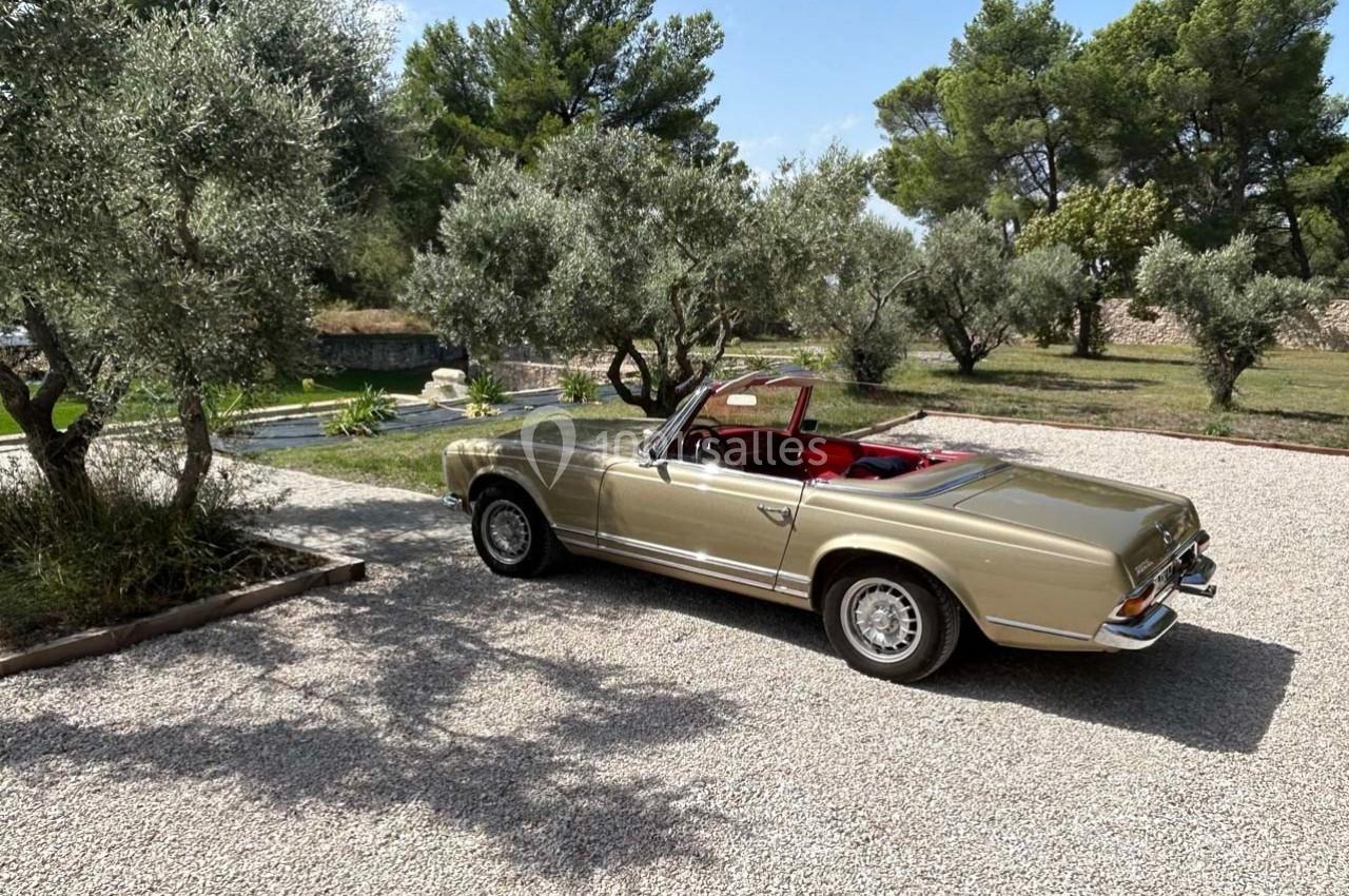 Voiture décapotable classique beige stationnée sur une allée gravillonnée, entourée d'oliviers et de végétation.