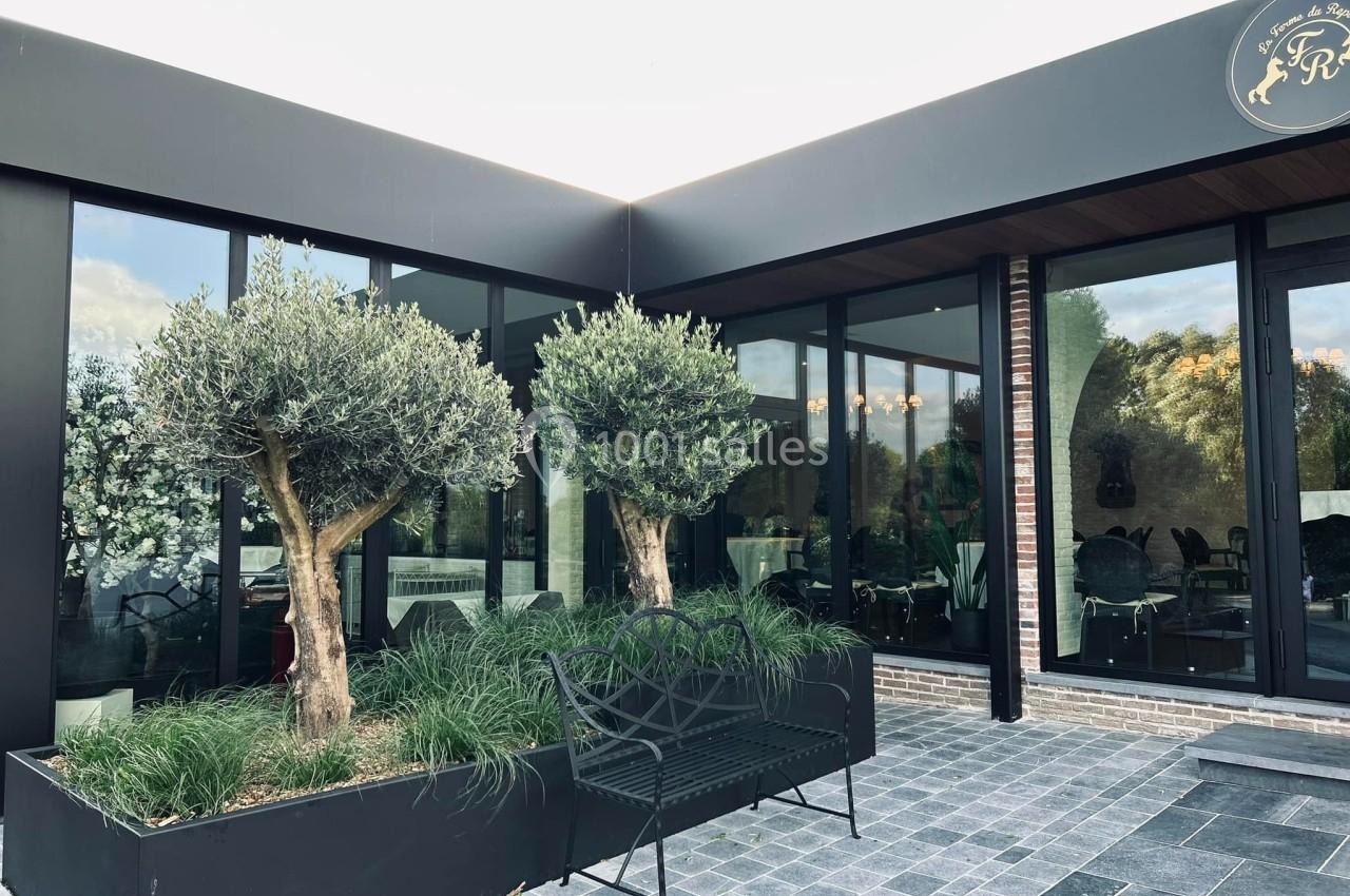 Deux oliviers dans des bacs rectangulaires devant une façade vitrée moderne avec un banc en métal noir.