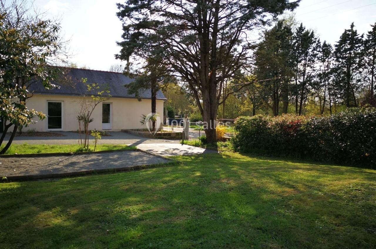 Jardin verdoyant avec pelouse, arbres et arbustes, maison claire en arrière-plan sous un ciel dégagé.