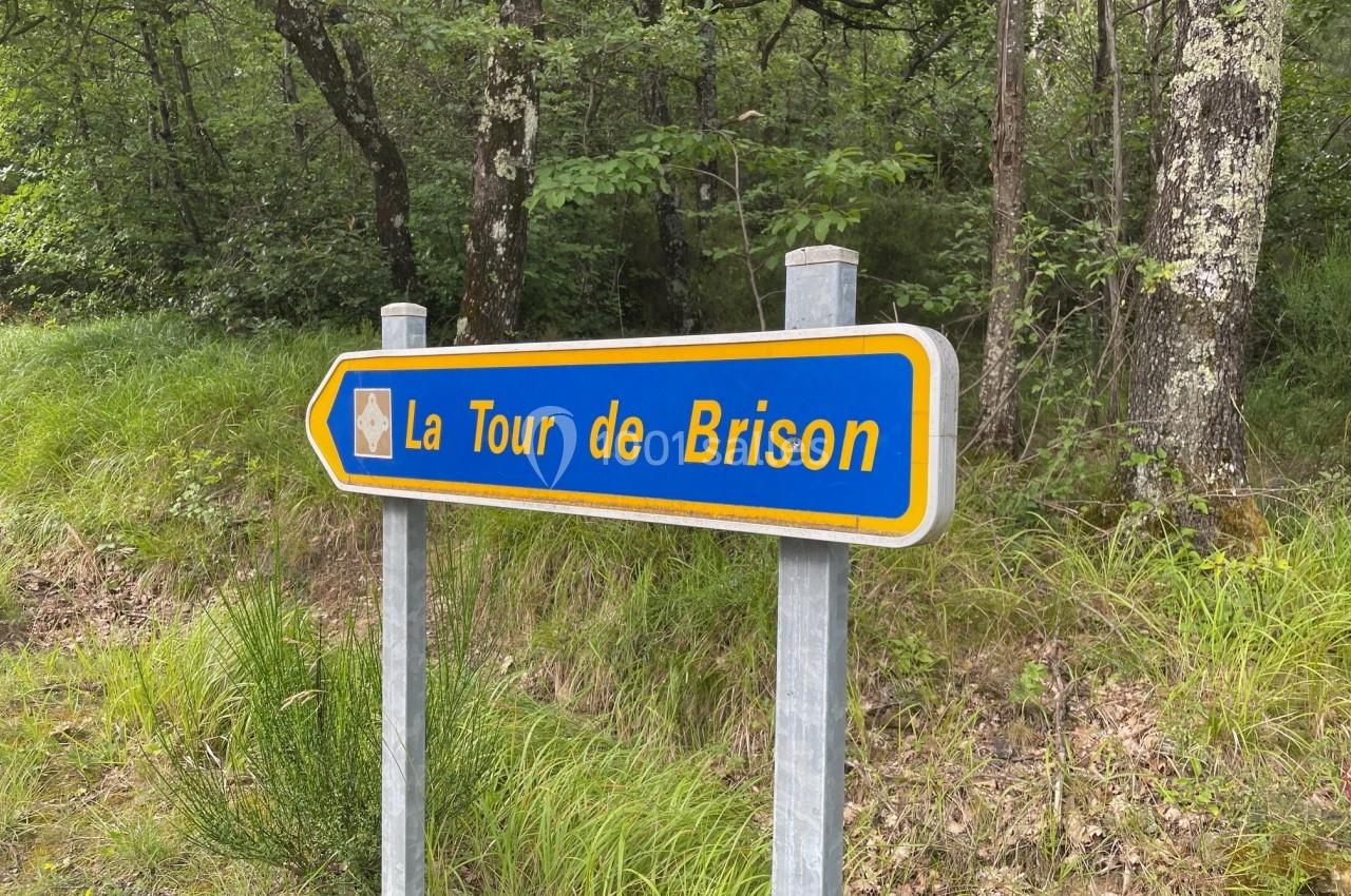 Panneau directionnel bleu indiquant ’La Tour de Brison’, situé en bordure d'une forêt verdoyante.