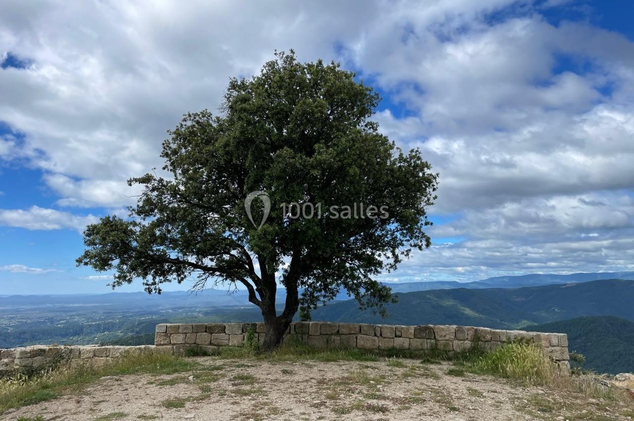 Arbre solitaire au sommet d'une colline, entouré d'un muret en pierre, avec vue sur des montagnes et un ciel partiellement…