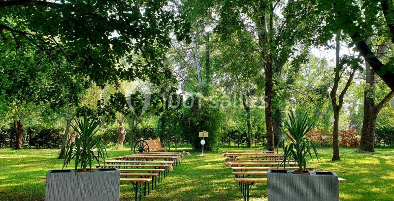 Chaises en bois alignées sur une pelouse entourée d'arbres, préparées pour un événement en plein air.