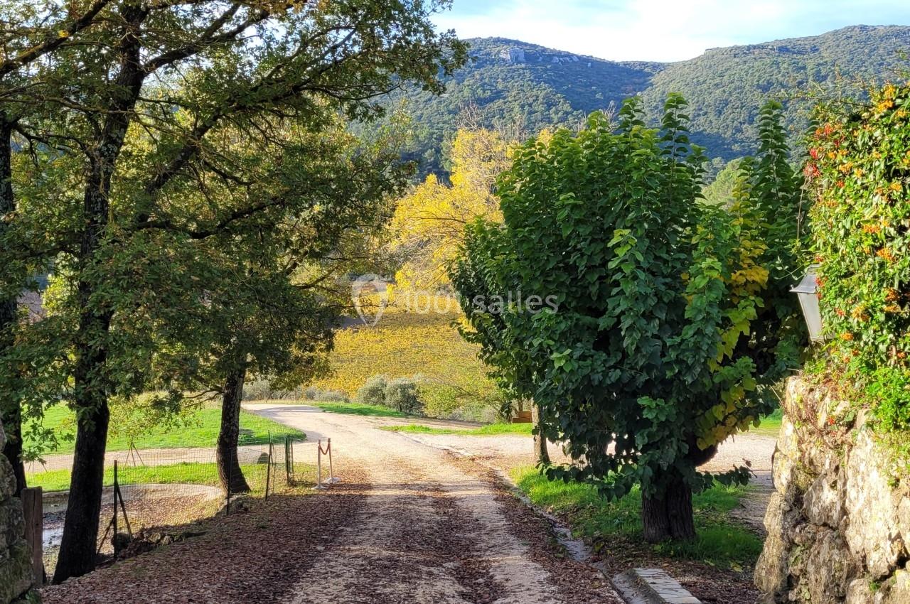 Location salle Signes (Var) - Château de Cancerilles #33 Chemin bordé d'arbres et de murs en pierre menant à un paysage vallonné avec des collines boisées en arrière-plan.