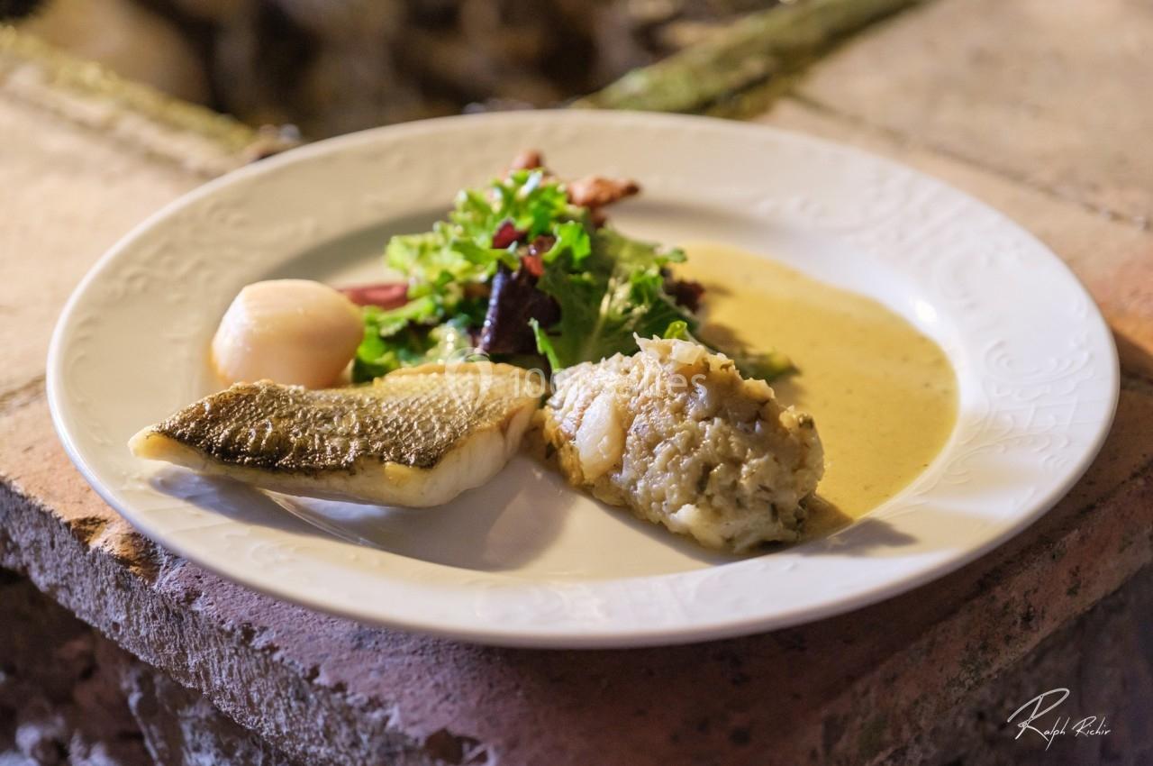 Location salle Signes (Var) - Château de Cancerilles #30 Assiette contenant un filet de poisson, une noix de Saint-Jacques, une purée et une salade verte, servie sur une table…