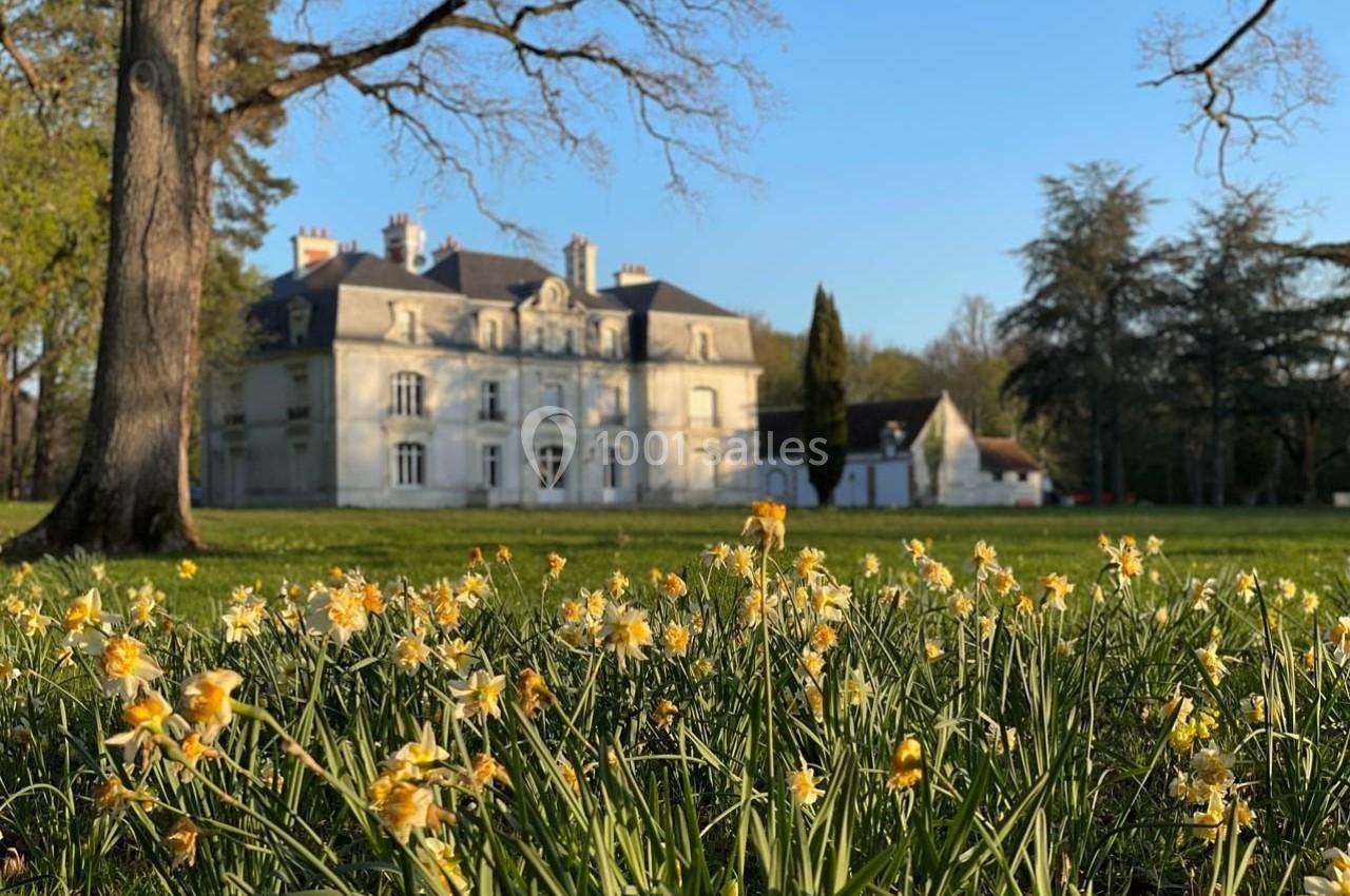 Champ de jonquilles en fleurs devant un manoir blanc entouré d'arbres sous un ciel bleu clair.