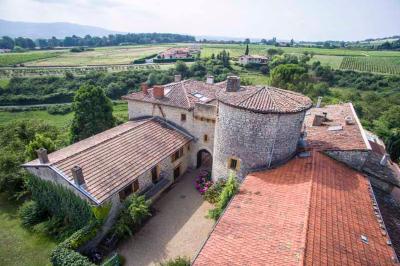 Miniature Location salle Morancé (Rhône) - Château du Pin #2 Statues représentant deux figures humaines et un chien dans un parc avec arbres et ciel dégagé en arrière-plan.