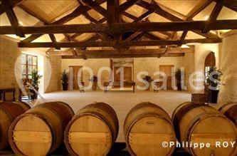 Location salle Saint-Genès-de-Castillon (Gironde) - Château Flojague #5