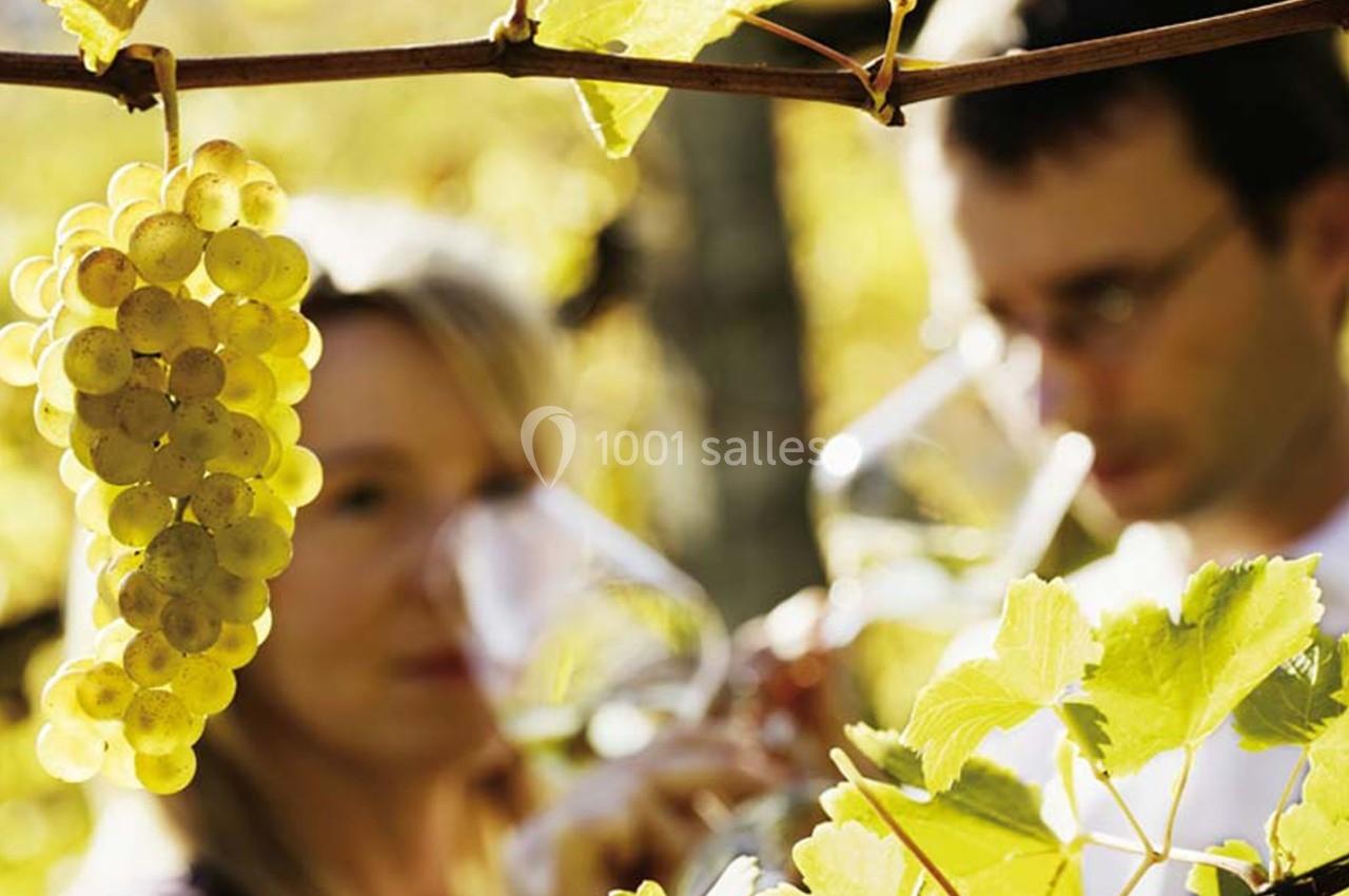 Grappe de raisin jaune en premier plan avec deux personnes dégustant du vin en arrière-plan dans un vignoble.