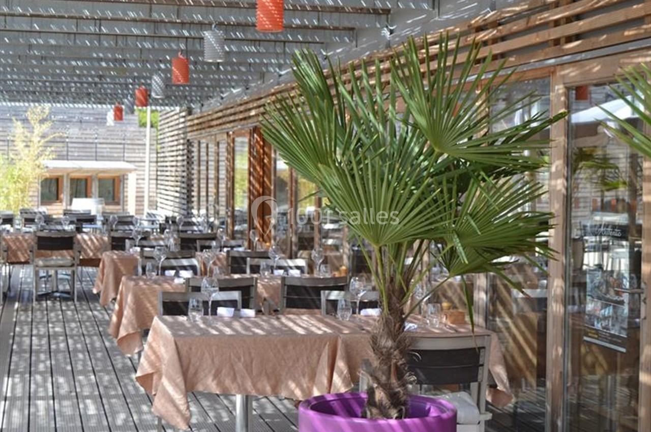 Terrasse d'un restaurant avec des tables dressées, des chaises en métal et un palmier en pot violet au premier plan.